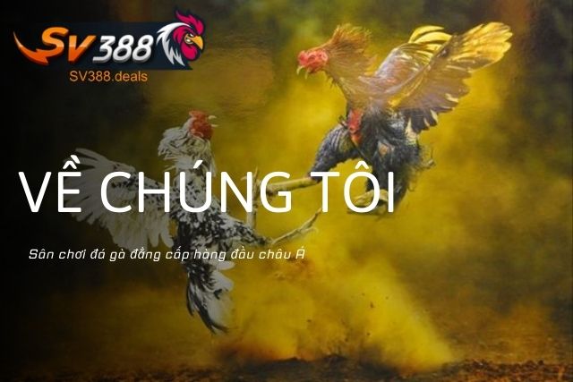 SV388 nơi hội tụ những trận đá gà đỉnh cao