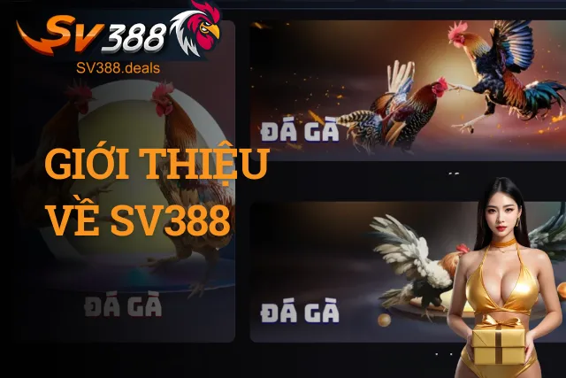 Tổng quan thương hiệu cá cược trực tuyến SV388